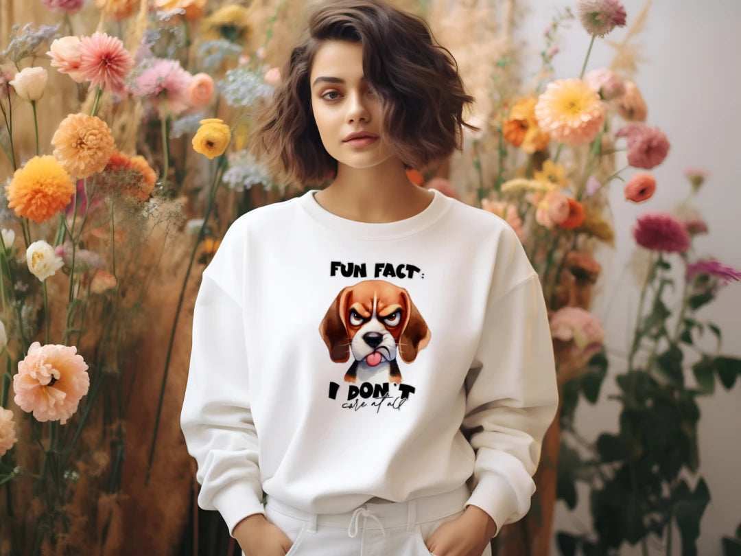 Fun Fact Don't Care Crewneck - Funny Sarcastic Sweatshirt