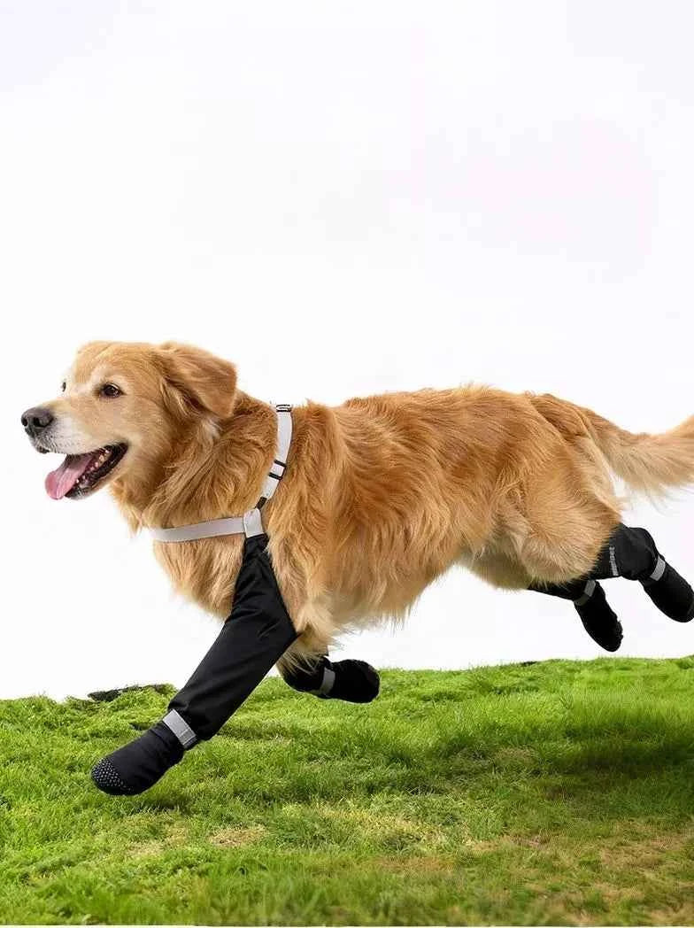 Dog Boots Waterproof Protective - Adjustable Paw Shoes