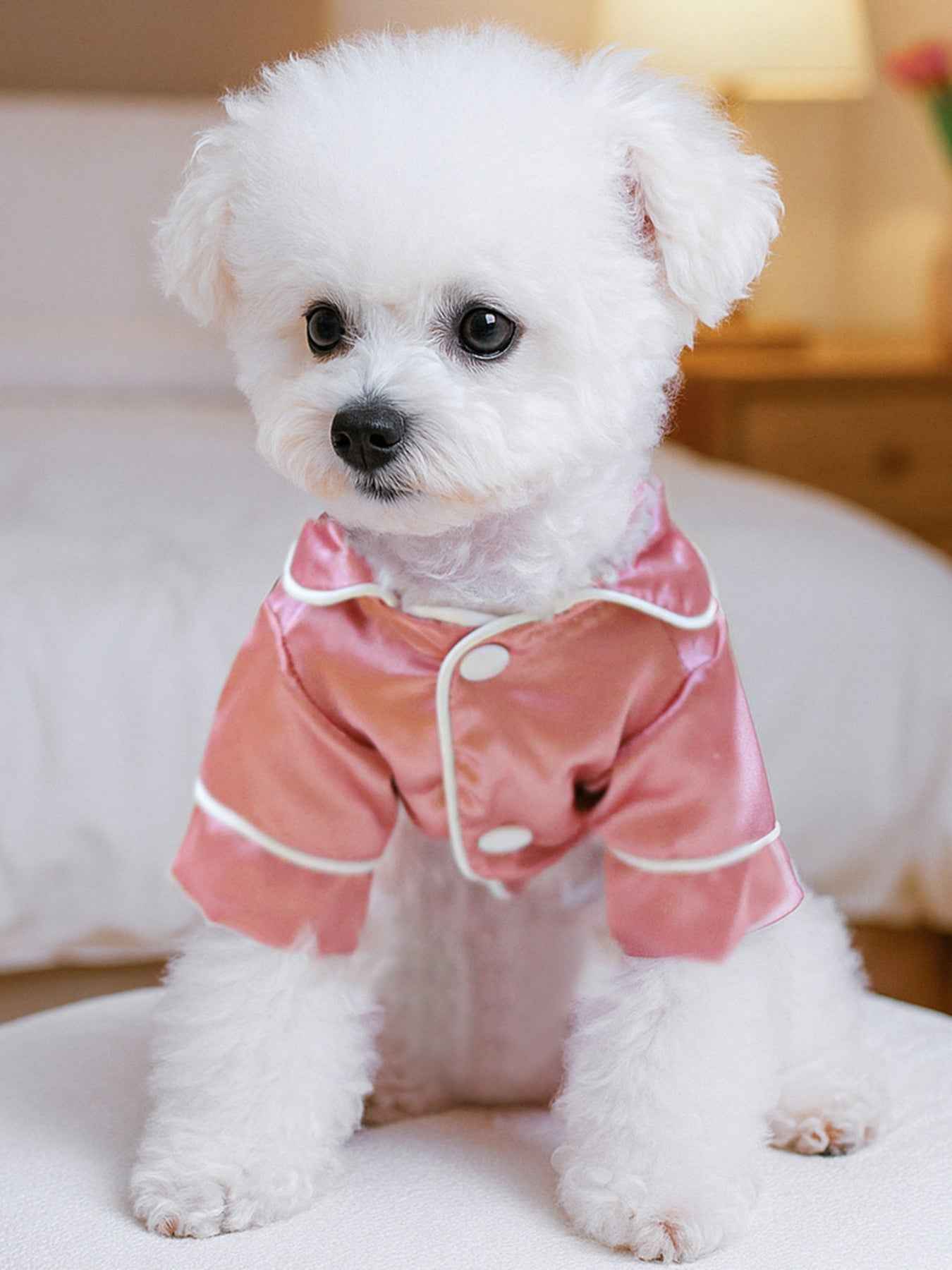 Satin Pet Pajamas with Contrast Piping