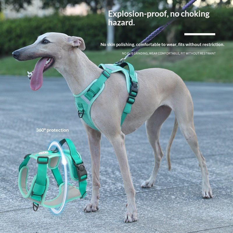 Adjustable Dog Harness - Large Chest Style with Leash