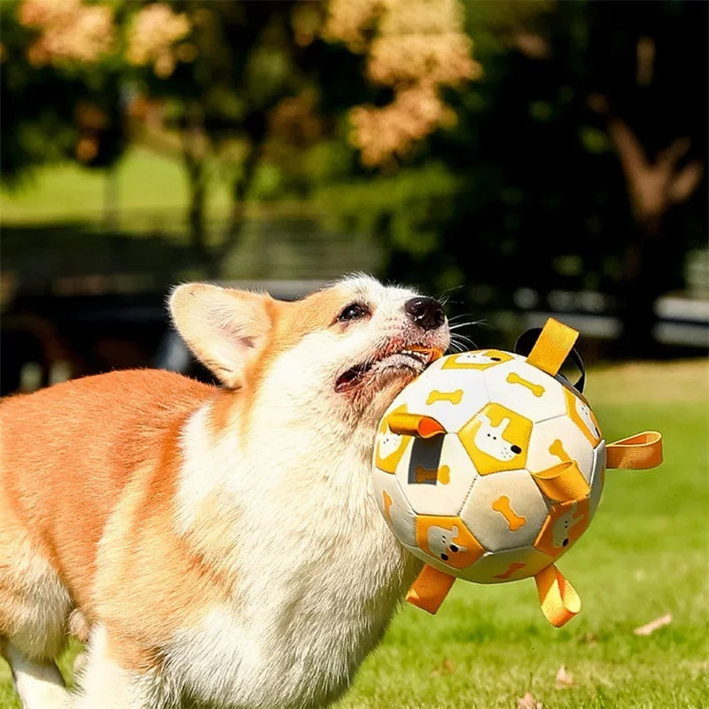Dog Soccer Ball - Interactive Toy with Cute Prints