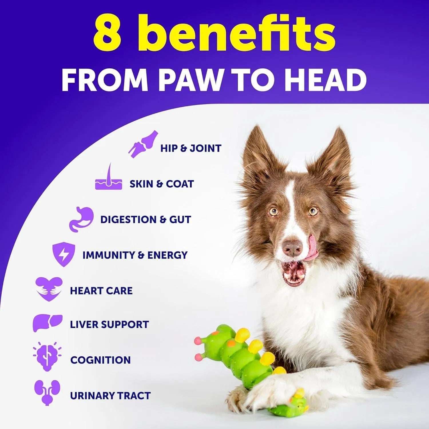 Dog Multivitamin Chewable With Glucosamine 20 In 1 Dog Vitamins And Supplements Senior & Puppy Multivitamin For Dogs Pet Joint Support Health Immunity Mobility Gut Skin 120 Chews
