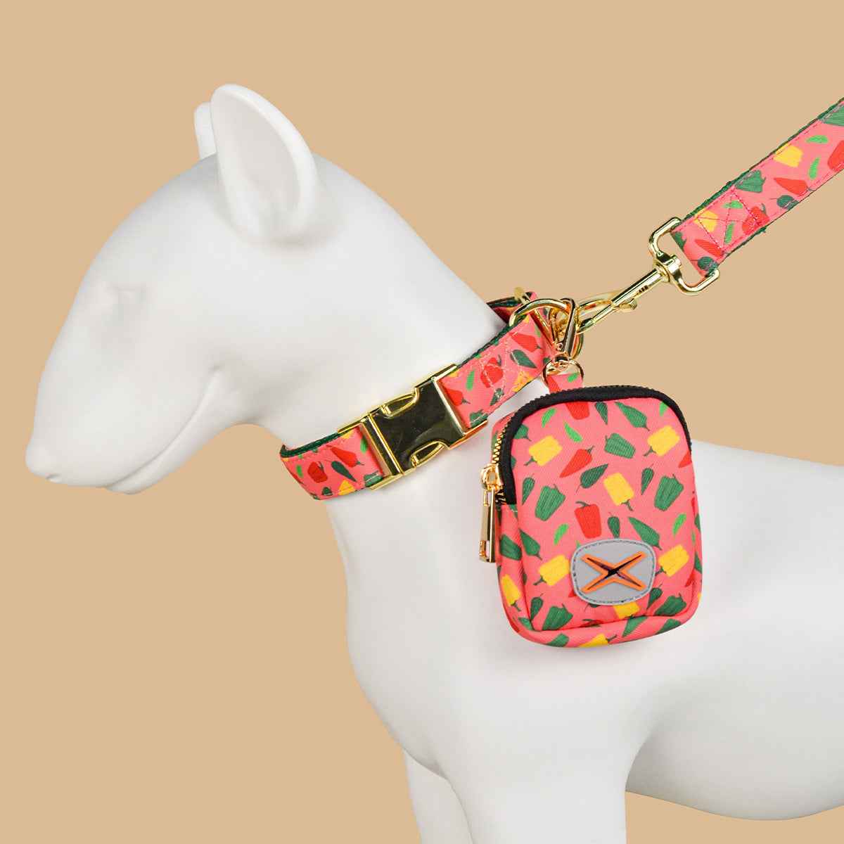 Dog Leash with Poop Bag Holder - Matching Set