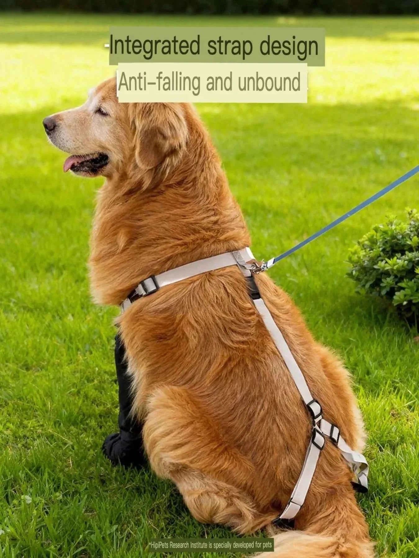 Dog Boots Waterproof Protective - Adjustable Paw Shoes