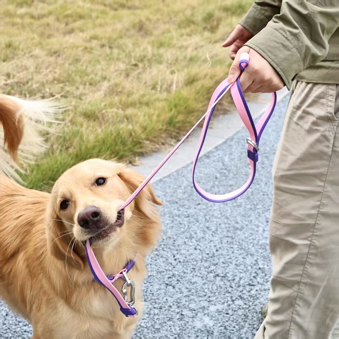 DIY Pet Leash Set - Dual-Color Embossed with 12 Accessories