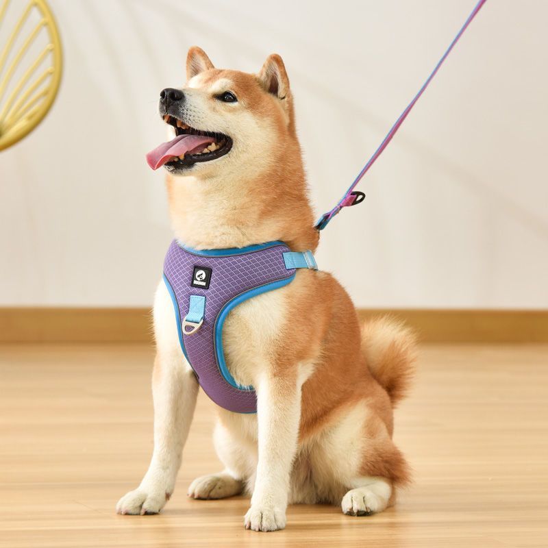 Reflective Mesh Harness - Breathable Dog Safety Vest