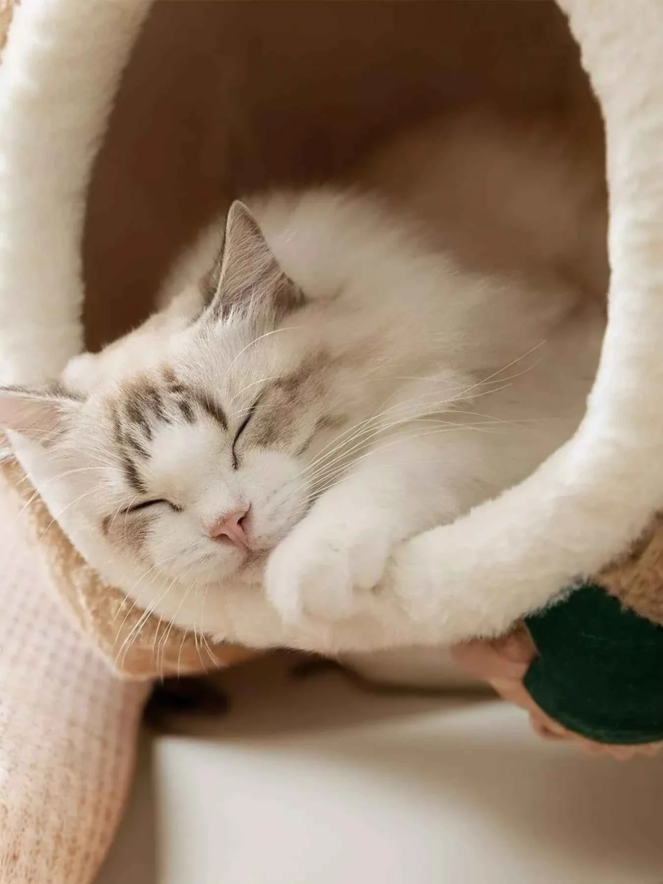 Pet Bed Tree Stump Shaped - Cozy Semi-Enclosed Cave