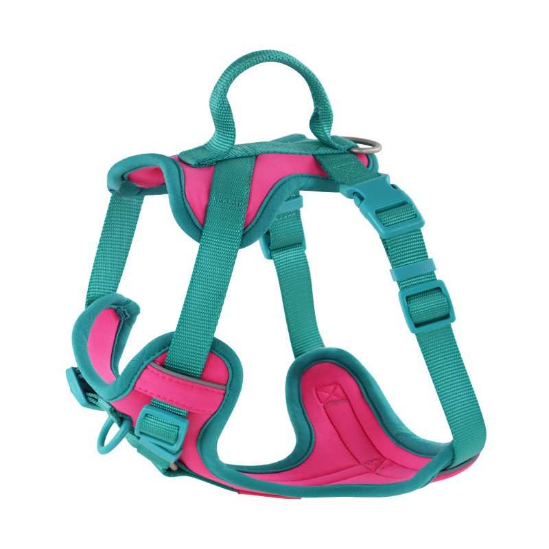 Dog Collar Harness Hand Holding and Rope Leash - Easy Control
