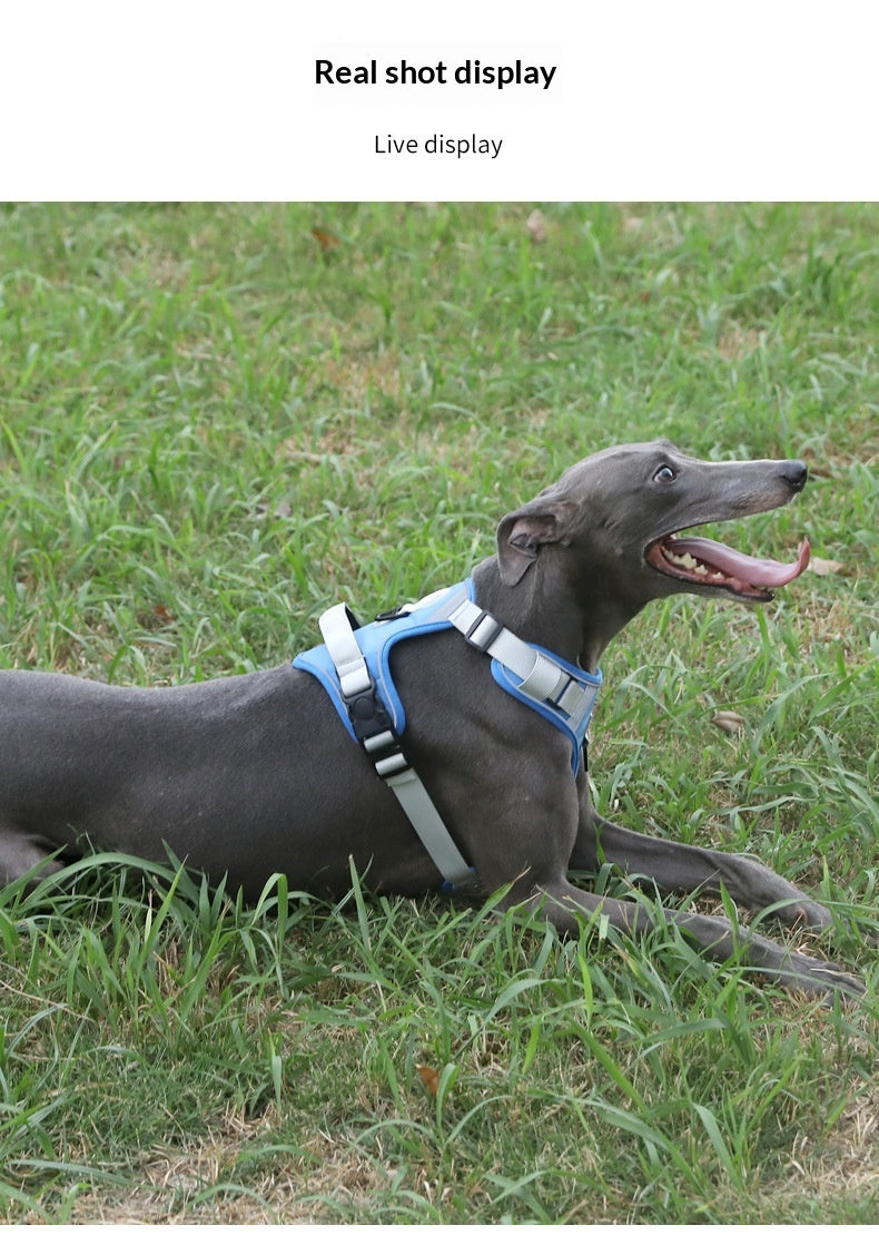 Adjustable Dog Harness - Large Chest Style with Leash