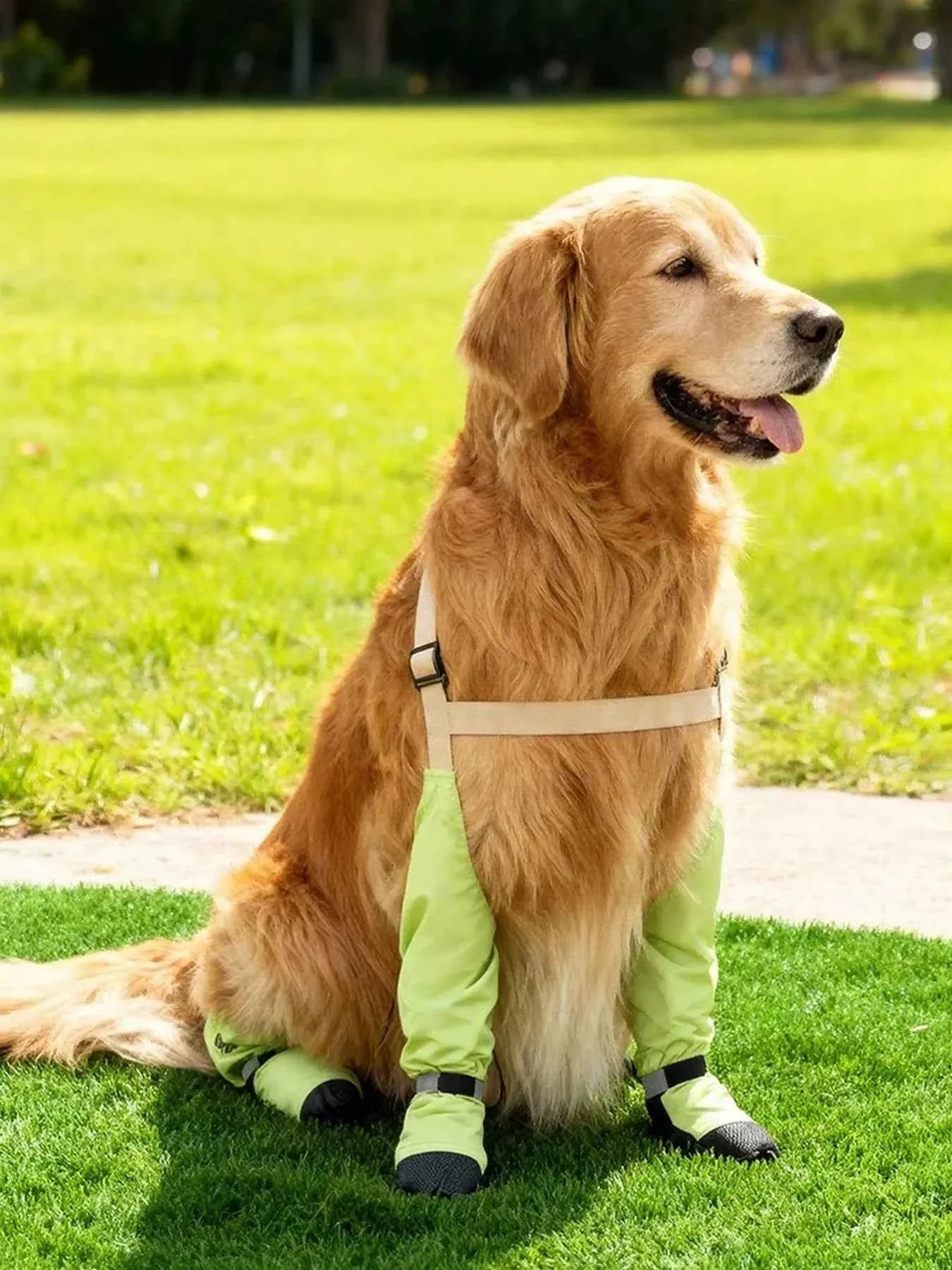 Dog Boots Waterproof Protective - Adjustable Paw Shoes