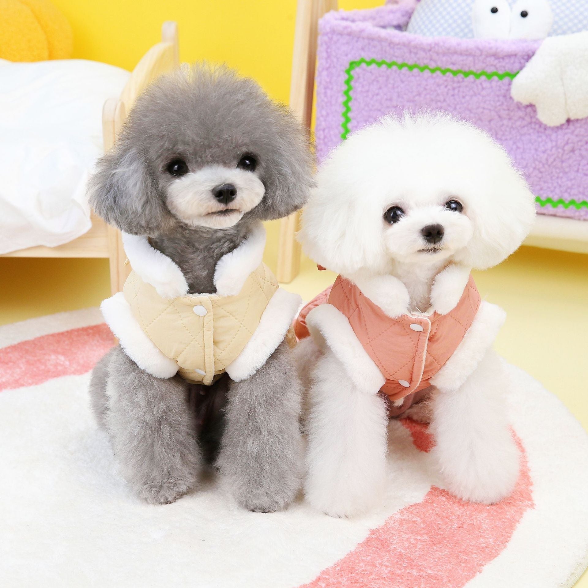 Butterfly Dreams Dress - Small Dog Cotton-Padded Outfit