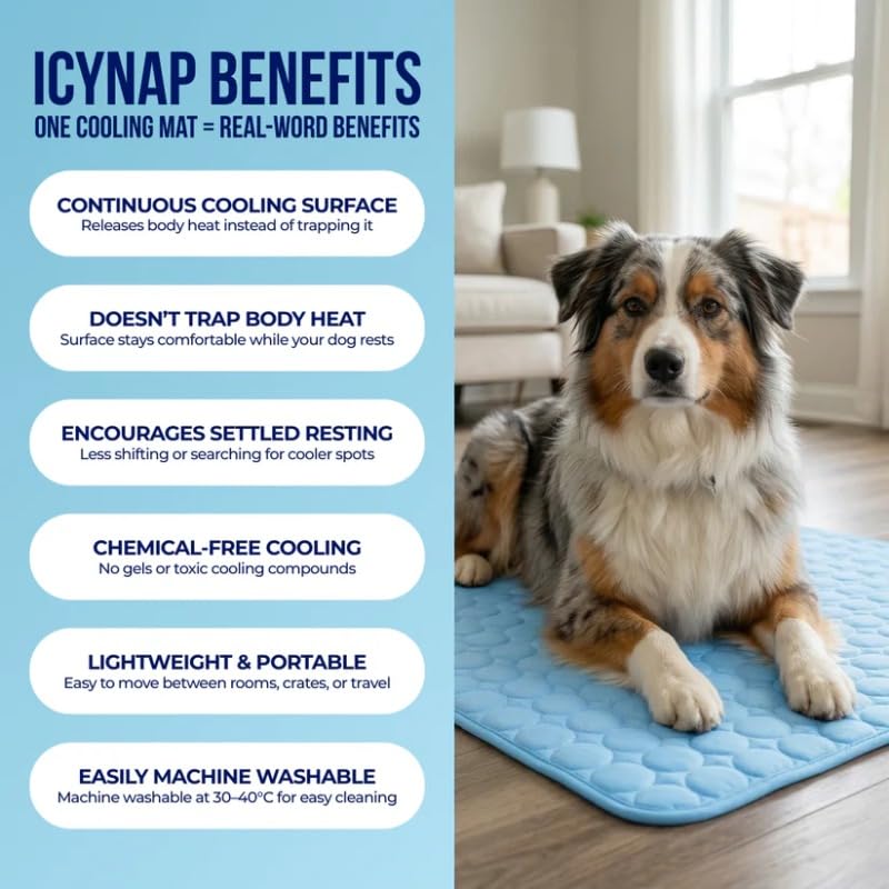 Chill Out: Pet Ice Silk Cooling Pad for Summer Comfort