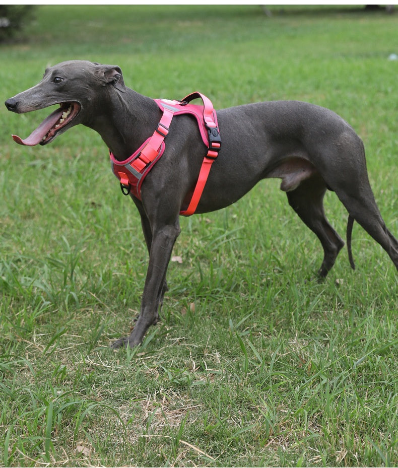 Adjustable Dog Harness - Large Chest Style with Leash