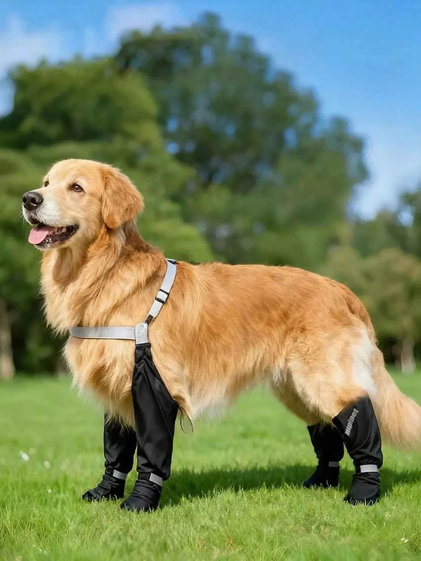 Dog Boots Waterproof Protective - Adjustable Paw Shoes