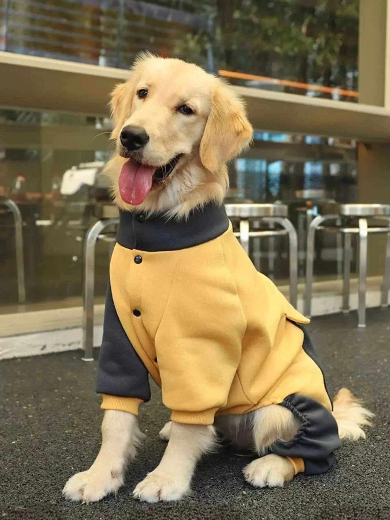 Dog Jacket Two-Tone - Button Closure Collar Coat