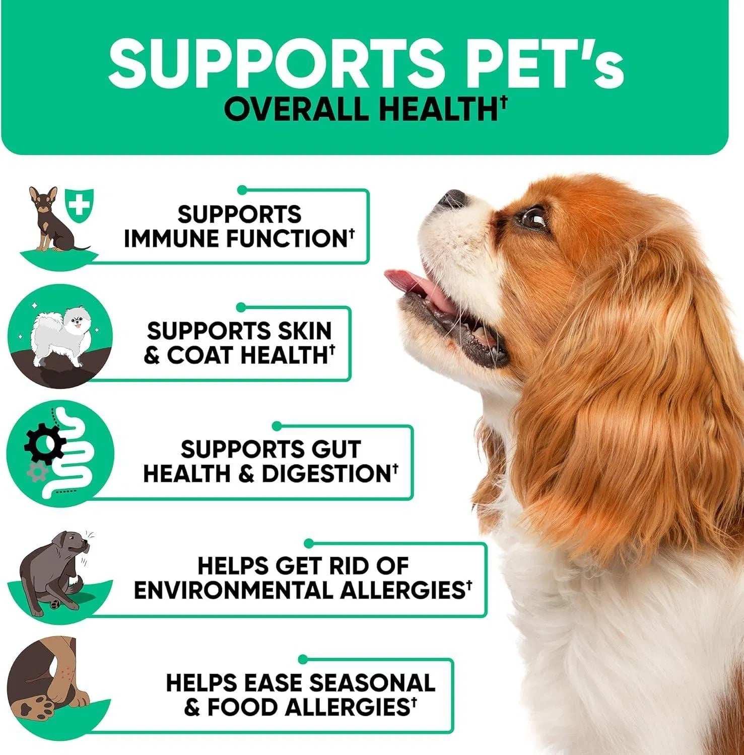 Natural Dog Allergy Chews For Dog Itch Tasty Allergy Relief Pet Supplement For Dry Itchy Skin Hot Spots Seasonal Dog Allergies 180 Anti Itch Immune Treats For Dogs Licking Paws Antihistamine