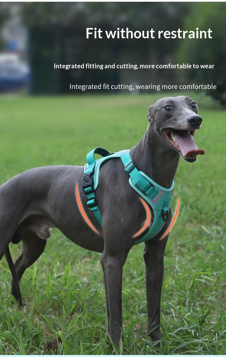 Adjustable Dog Harness - Large Chest Style with Leash