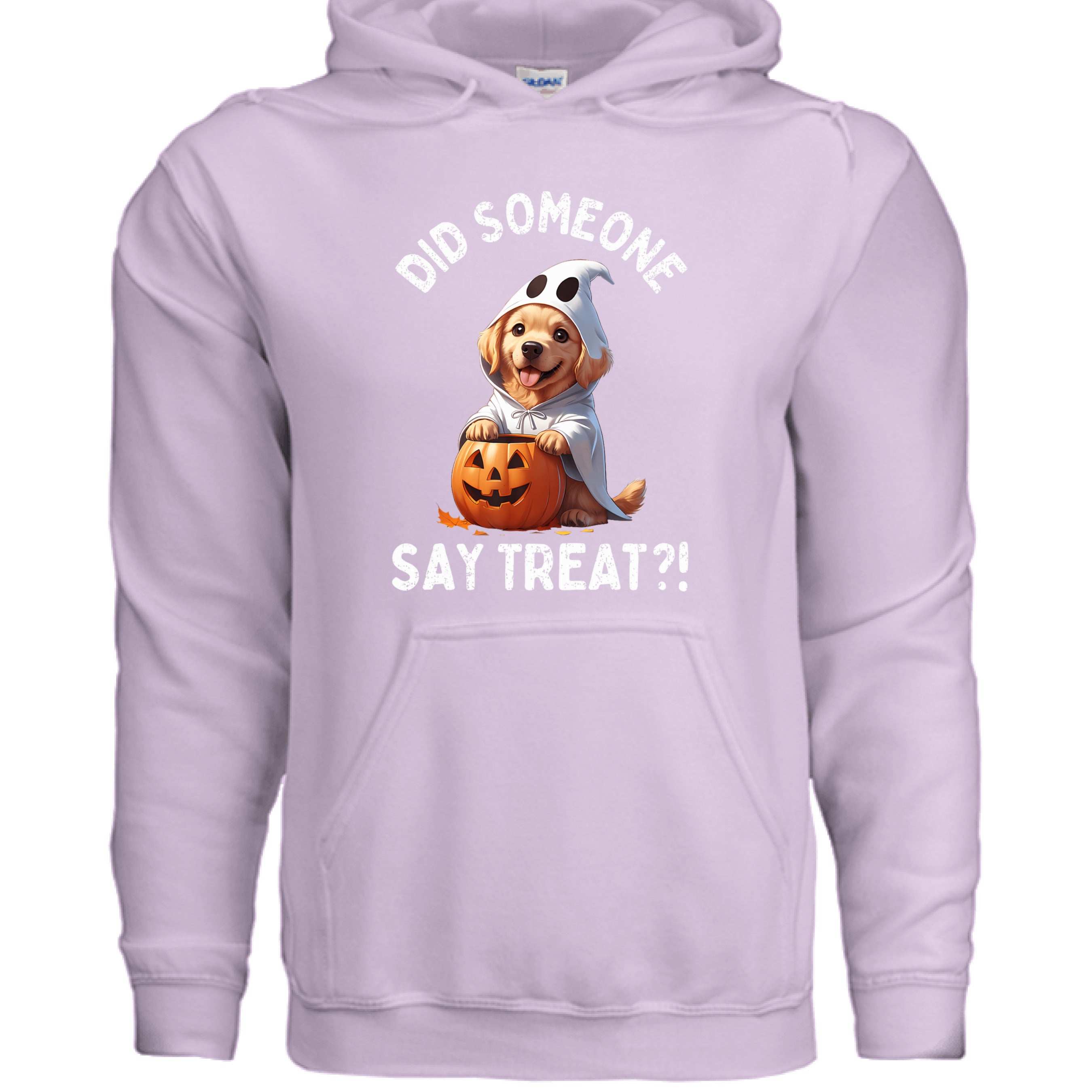 Did Someone Say Treats Hoodie Sweatshirt - Funny Dog Parent Pet Lover Hoodie