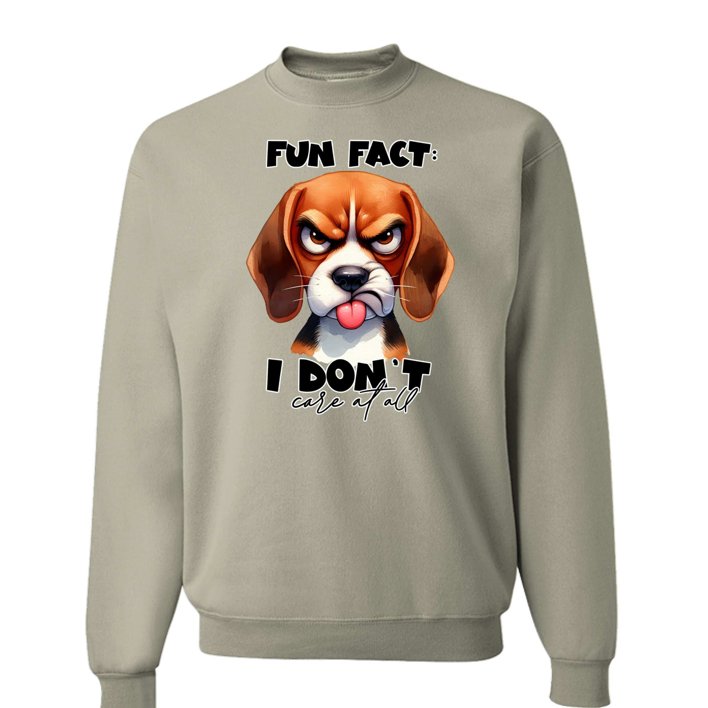 Fun Fact Don't Care Crewneck - Funny Sarcastic Sweatshirt