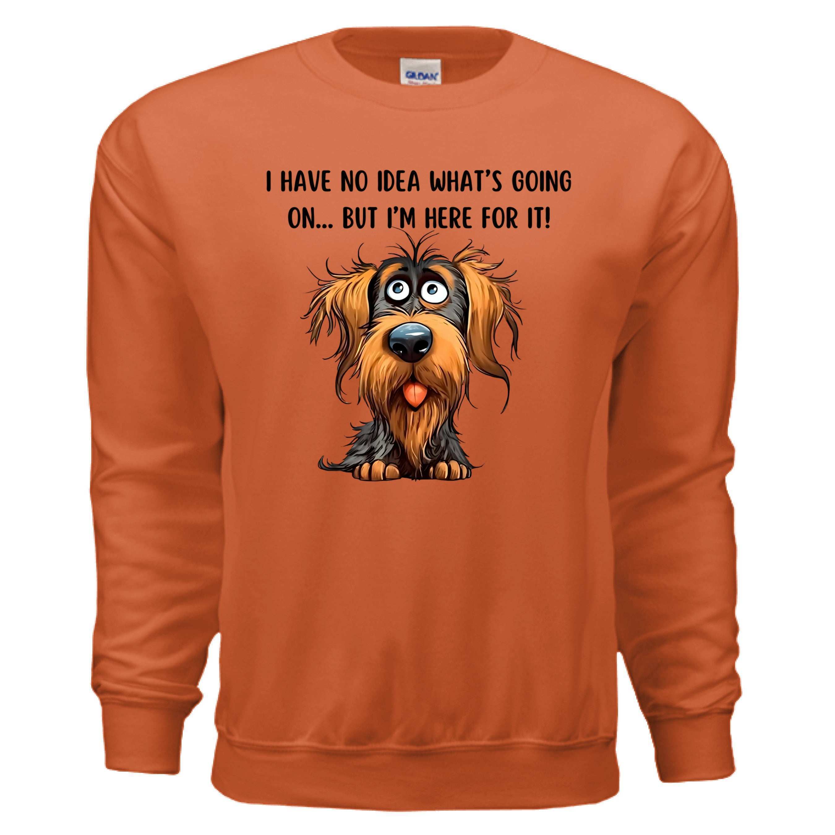 Funny Dog Sweatshirt - No Idea But I'm Here For It