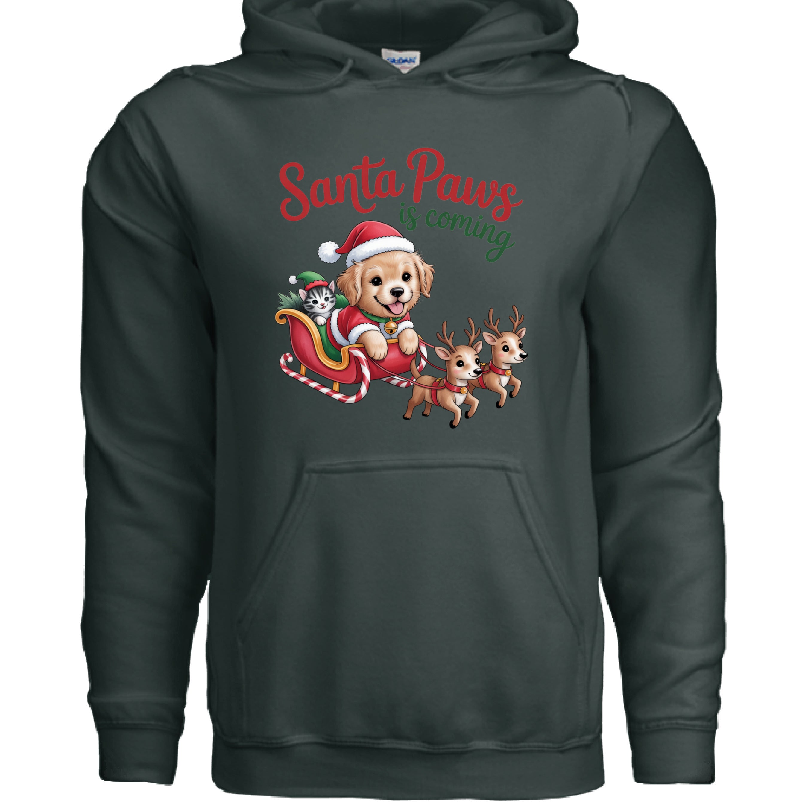 Santa Paws is Coming Christmas Hoodie - Festive Pet Lover Sweatshirt