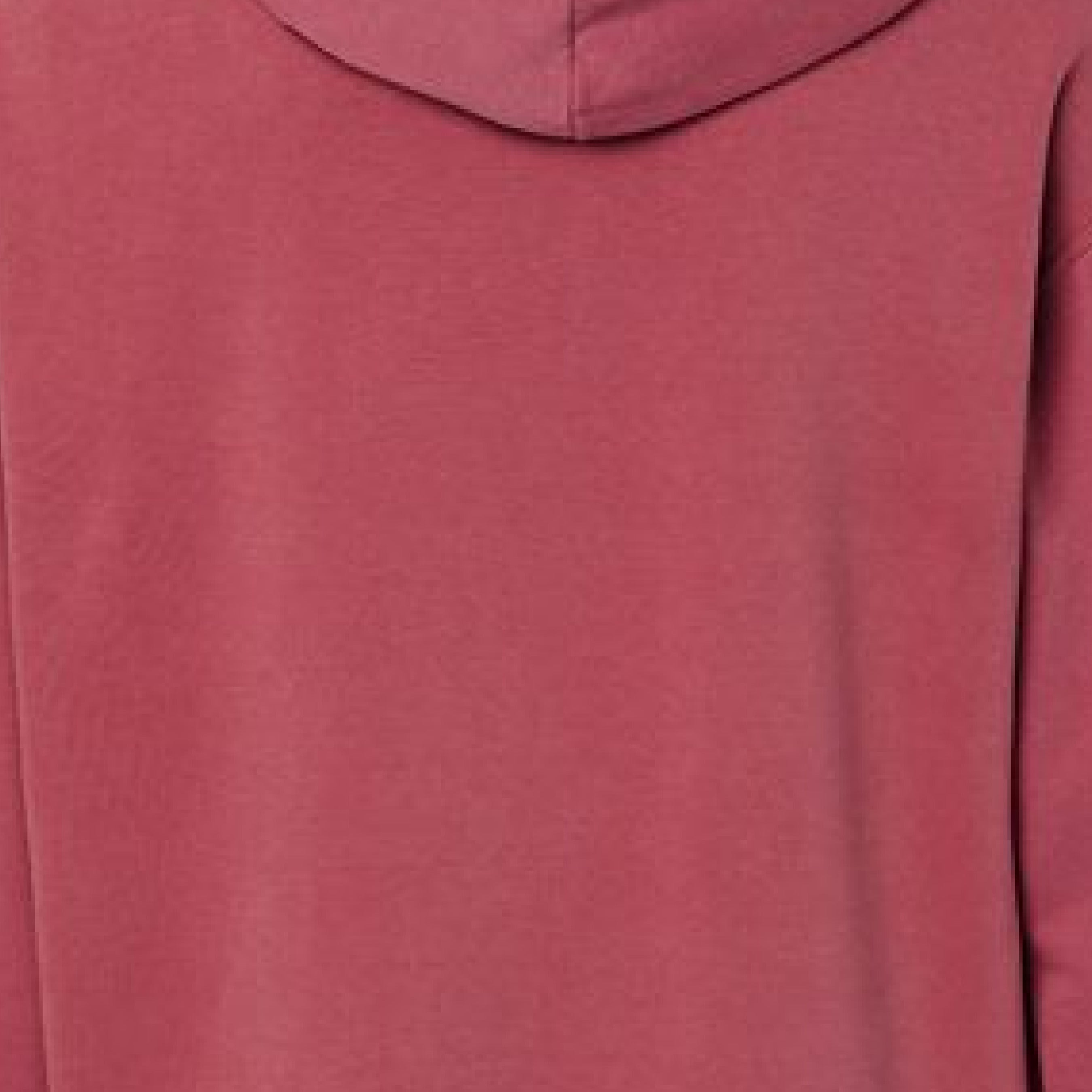 Comfort Colors Whimsy Ornament Pup Hoodie