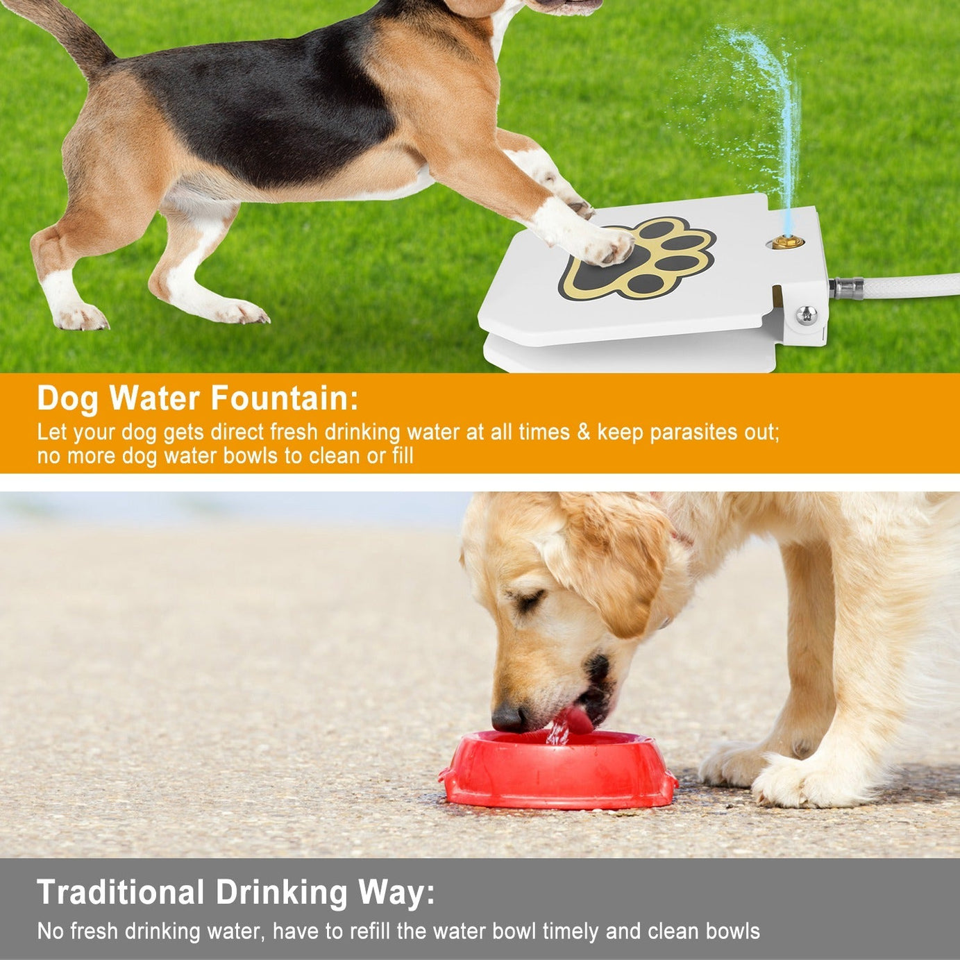 Outdoor Dog Water Fountain - Step-Activated Pedal