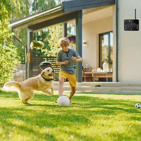 Wireless Dog Fence - Electric Boundary System With Waterproof Collar
