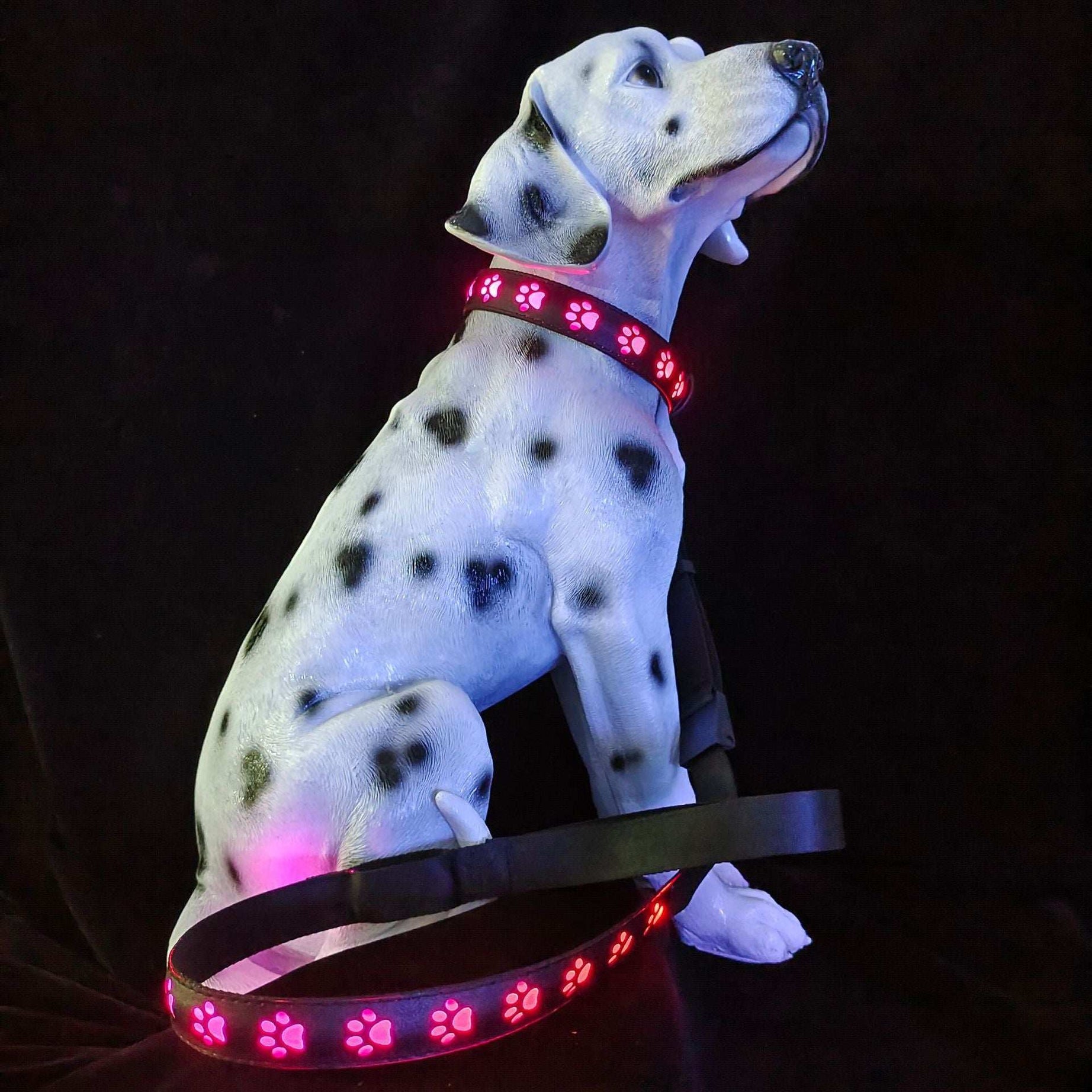LED Dog Collar - 7 Color Luminous Paw Print USB Rechargeable