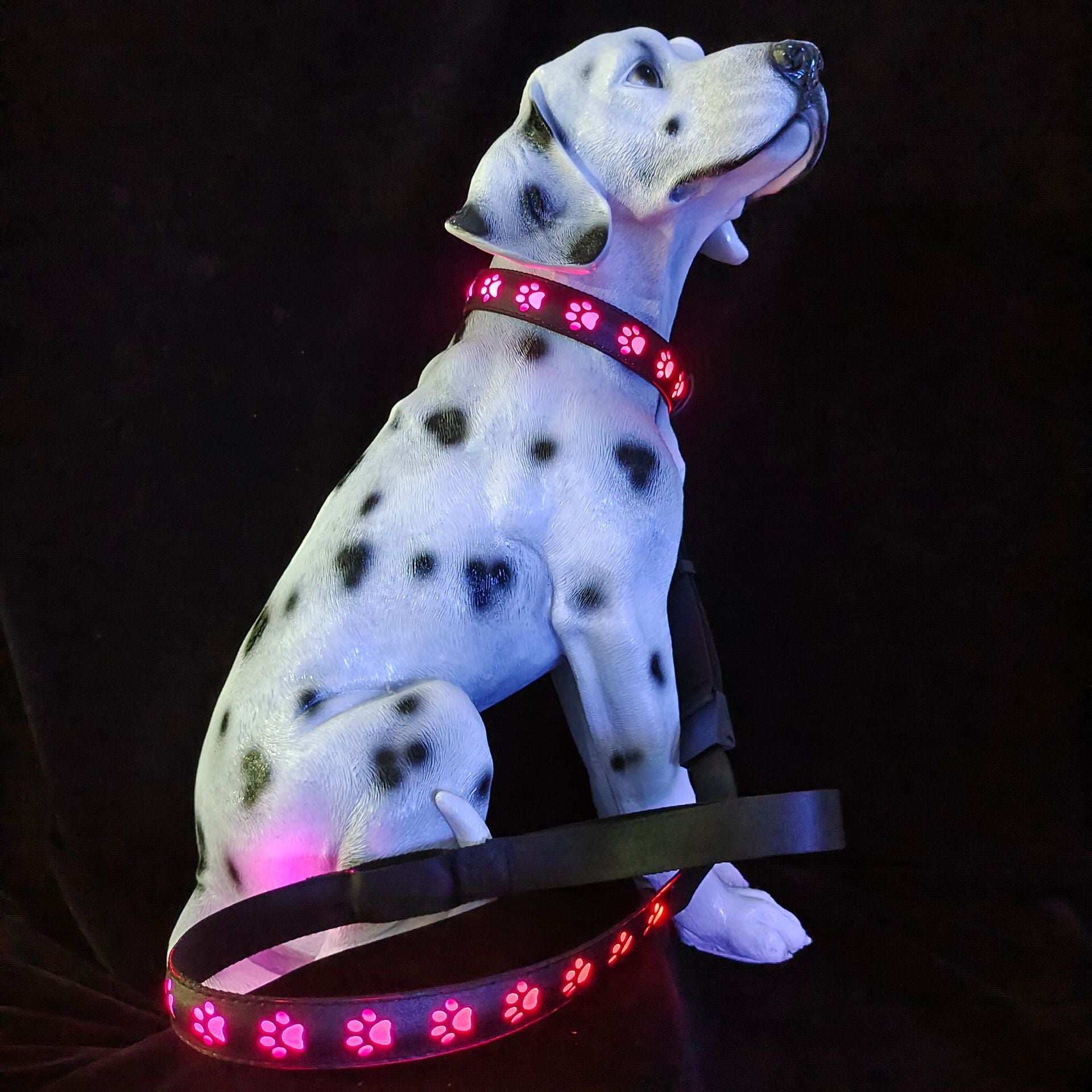 LED Dog Collar - 7 Color Luminous Paw Print USB Rechargeable