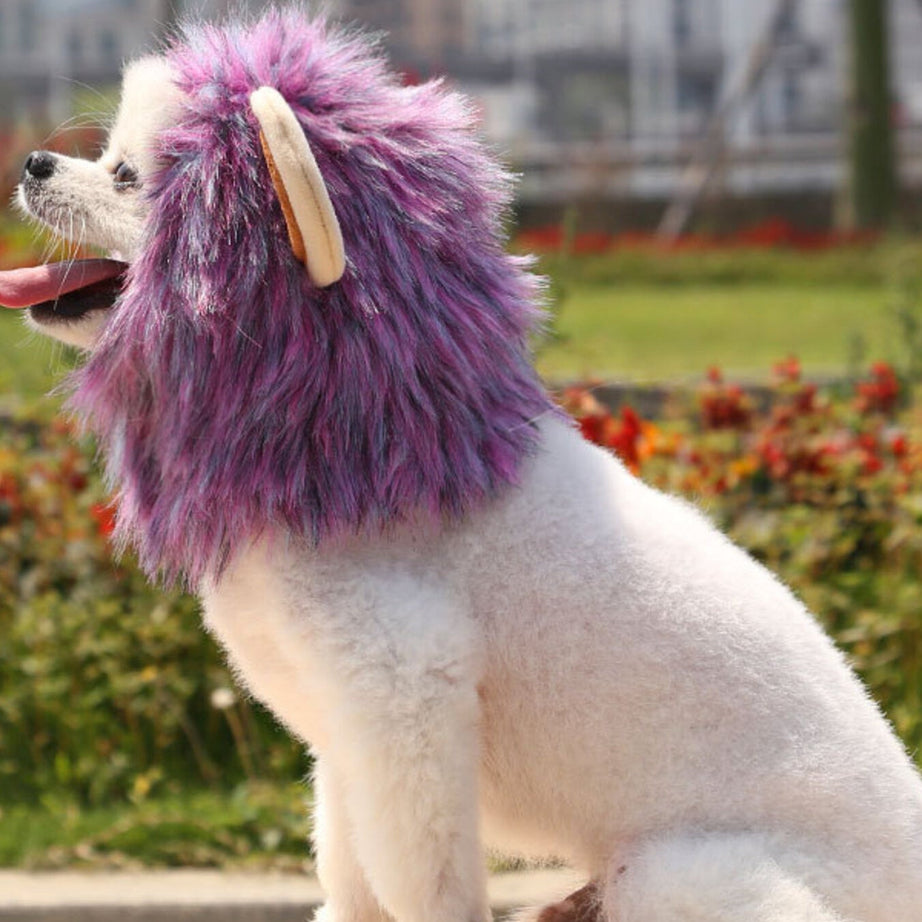 Pet Lion Mane Hat - Funny Costume Headwear for Cats and Dogs