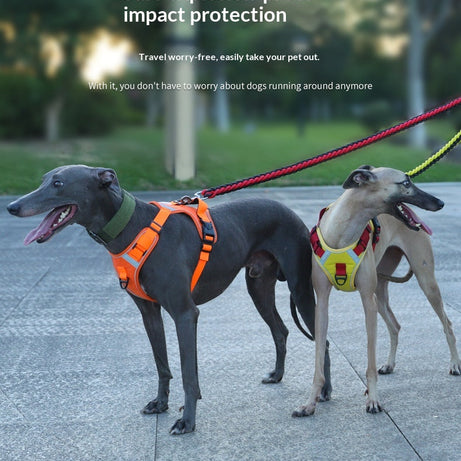 Adjustable Dog Harness - Large Chest Style with Leash