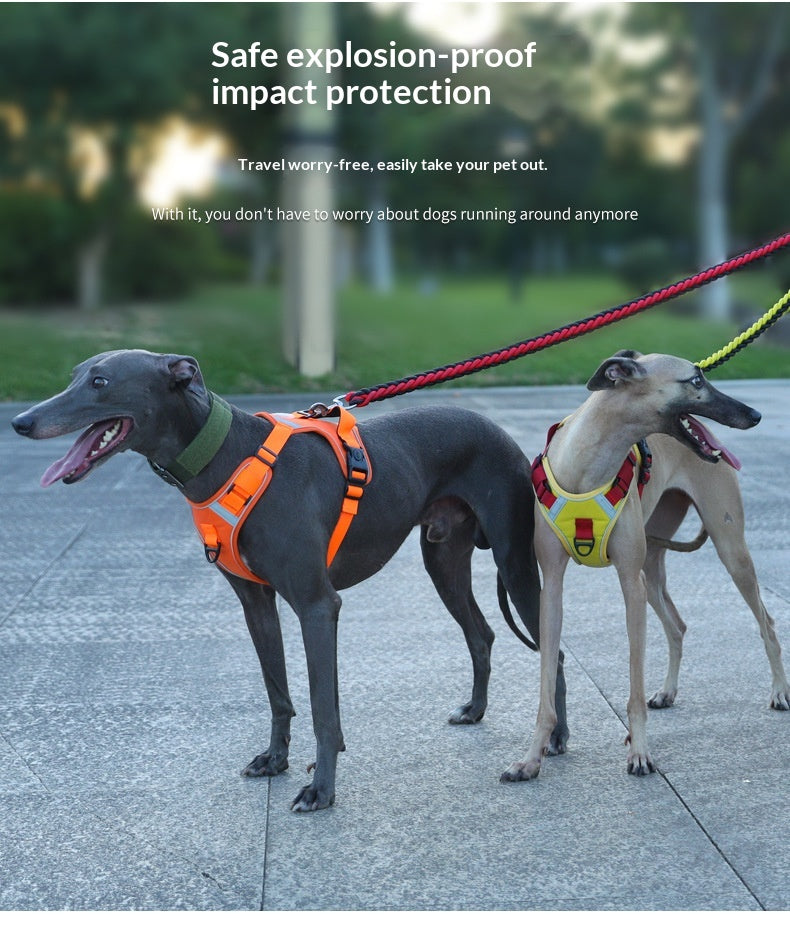 Adjustable Dog Harness - Large Chest Style with Leash