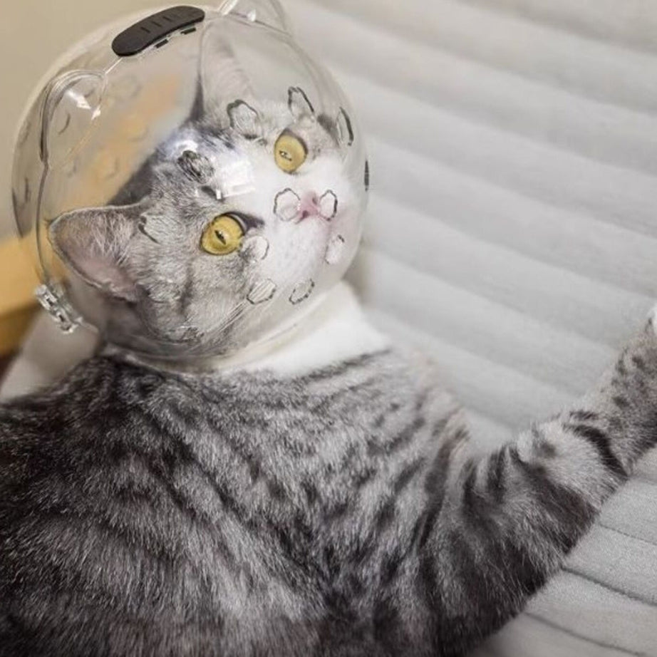 Clear Shield - Anti-Bite Pet Spherical Head Cover