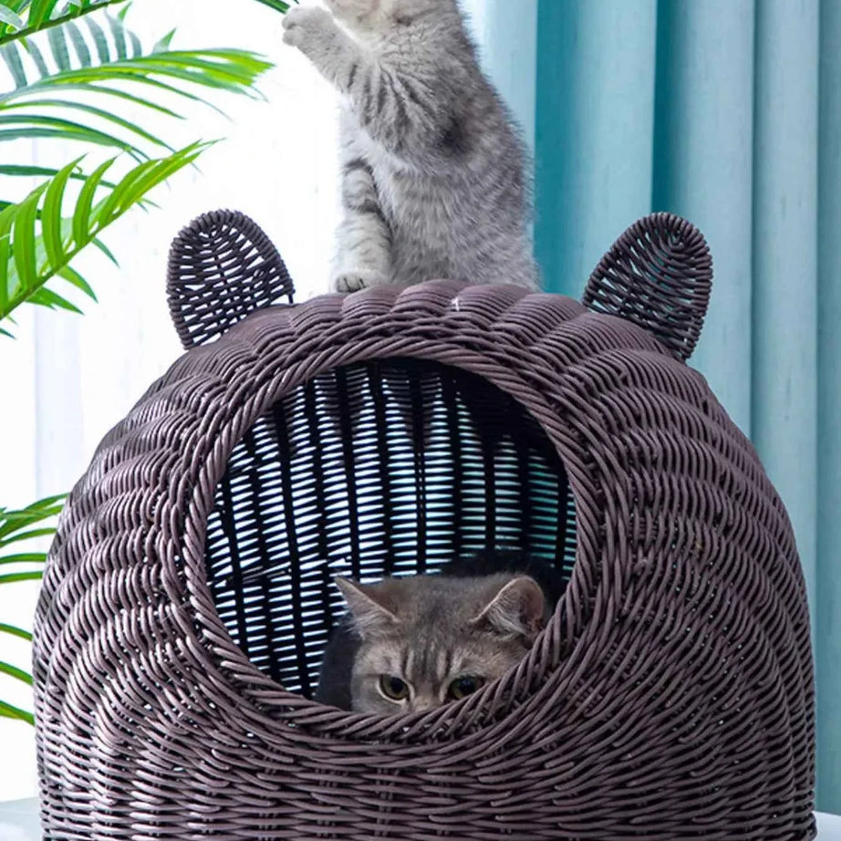 Rattan Pet Nest - Cute Pet Shaped Bed
