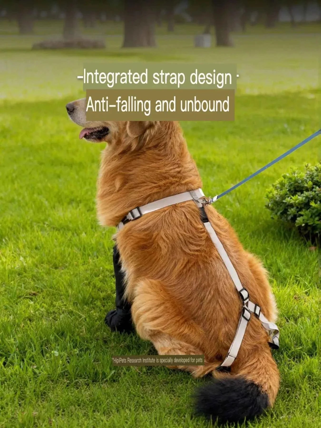 Dog Boots Waterproof Protective - Adjustable Paw Shoes