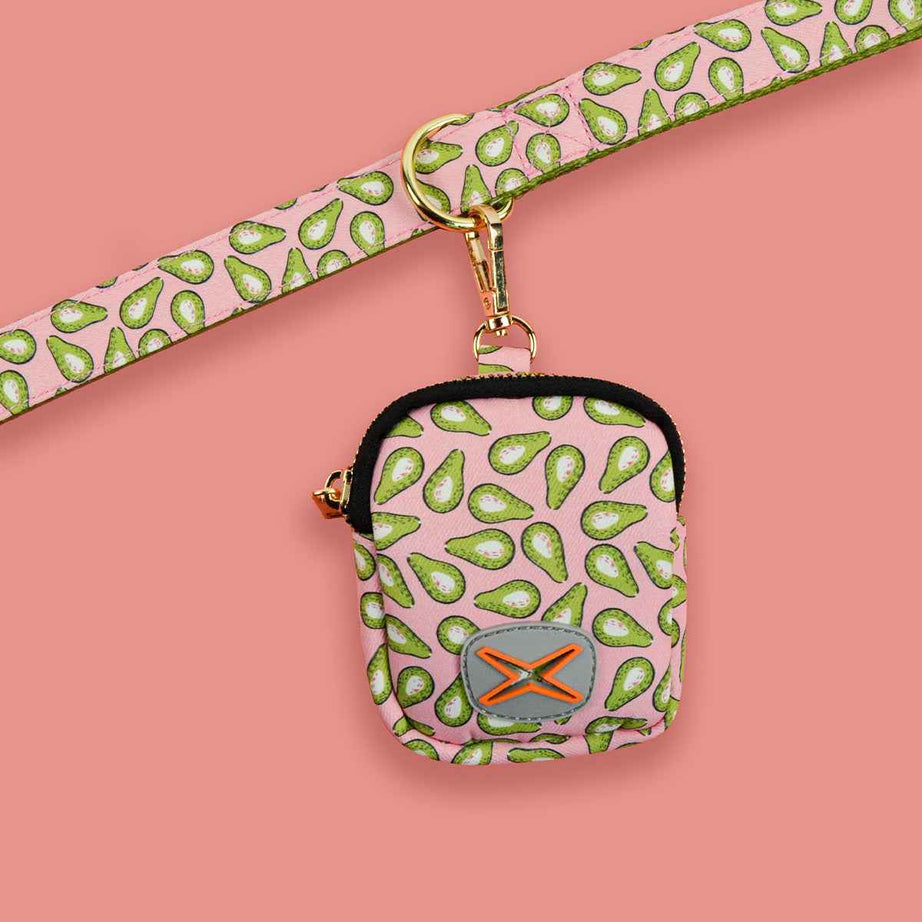 Dog Leash with Poop Bag Holder - Matching Set