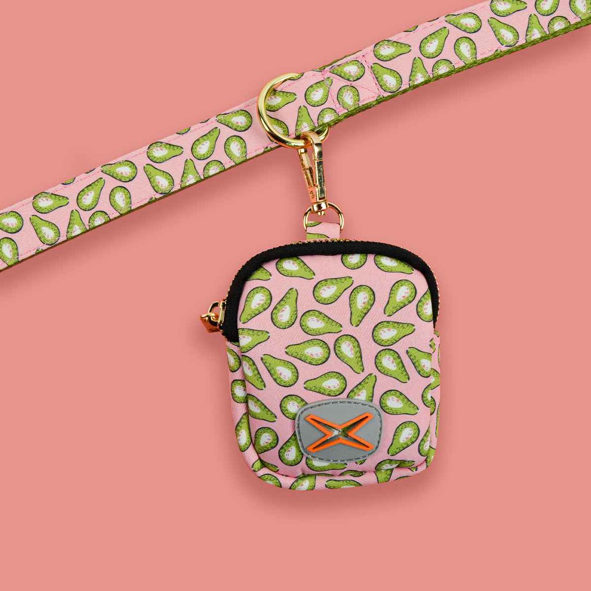 Dog Leash with Poop Bag Holder - Matching Set