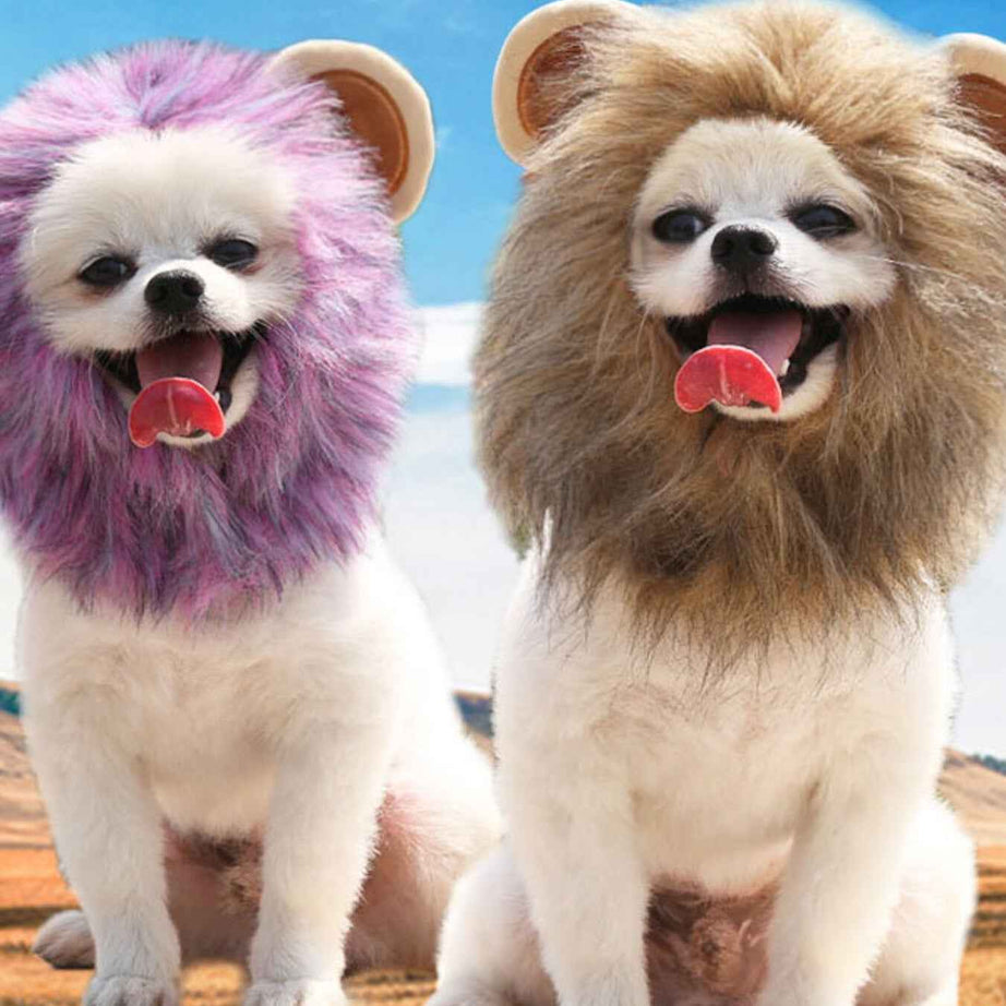 Pet Lion Mane Hat - Funny Costume Headwear for Cats and Dogs