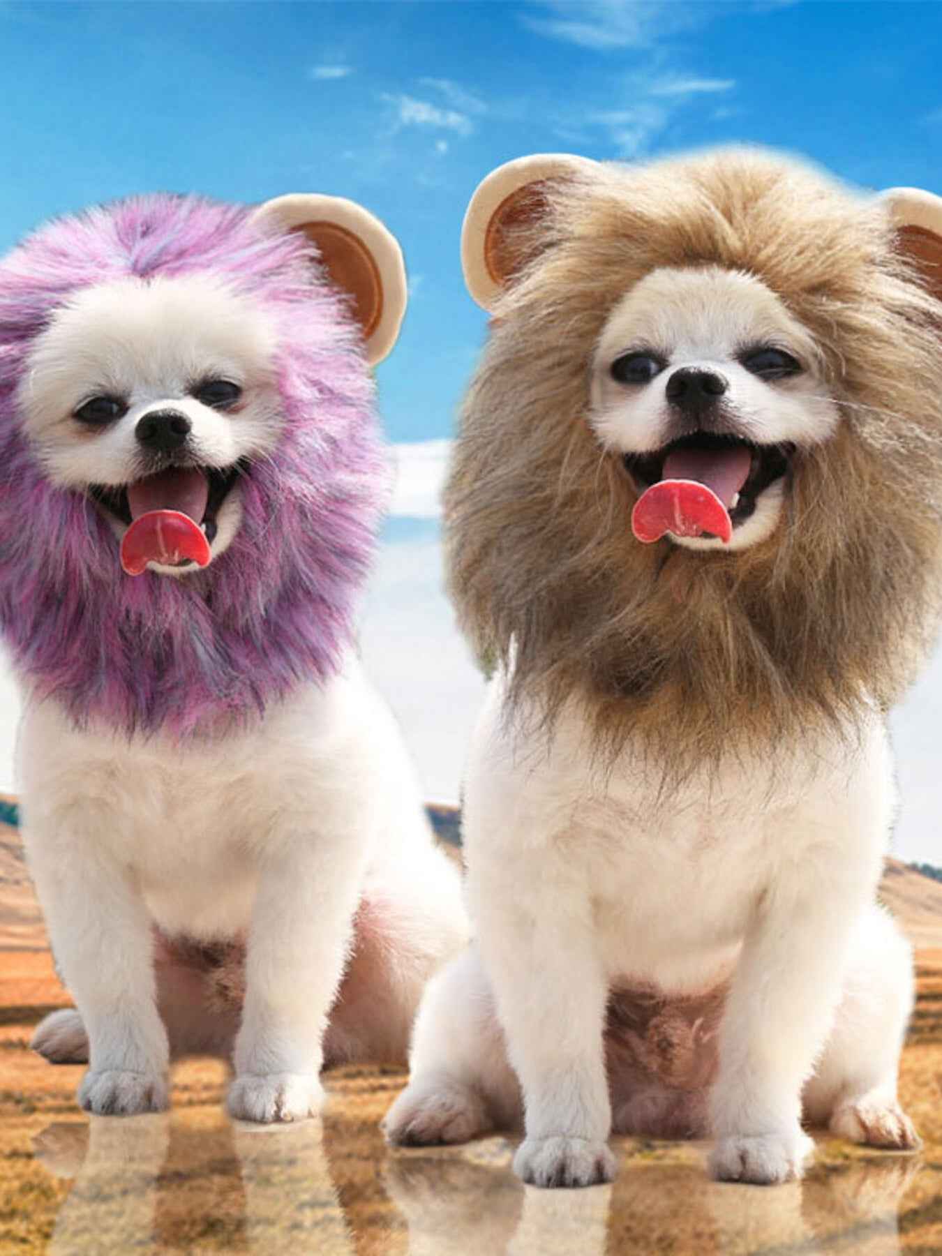 Pet Lion Mane Hat - Funny Costume Headwear for Cats and Dogs