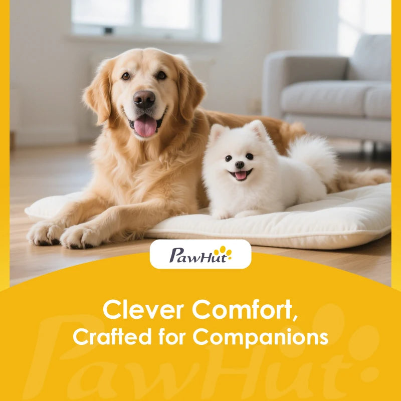 Elevated Dog Bowls - Modern Gray Design