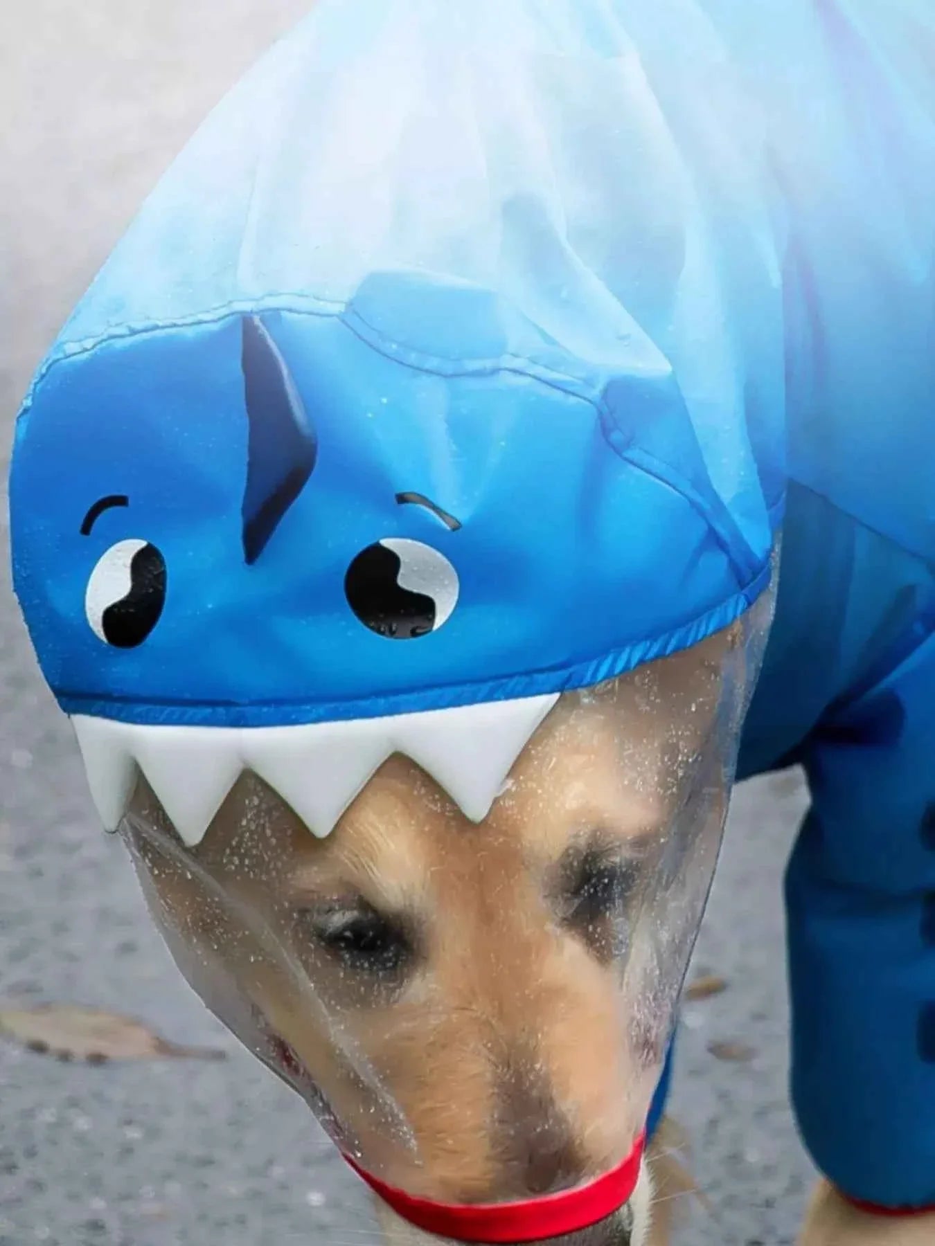 Waterproof Dog Raincoat - Dinosaur Style with Hood