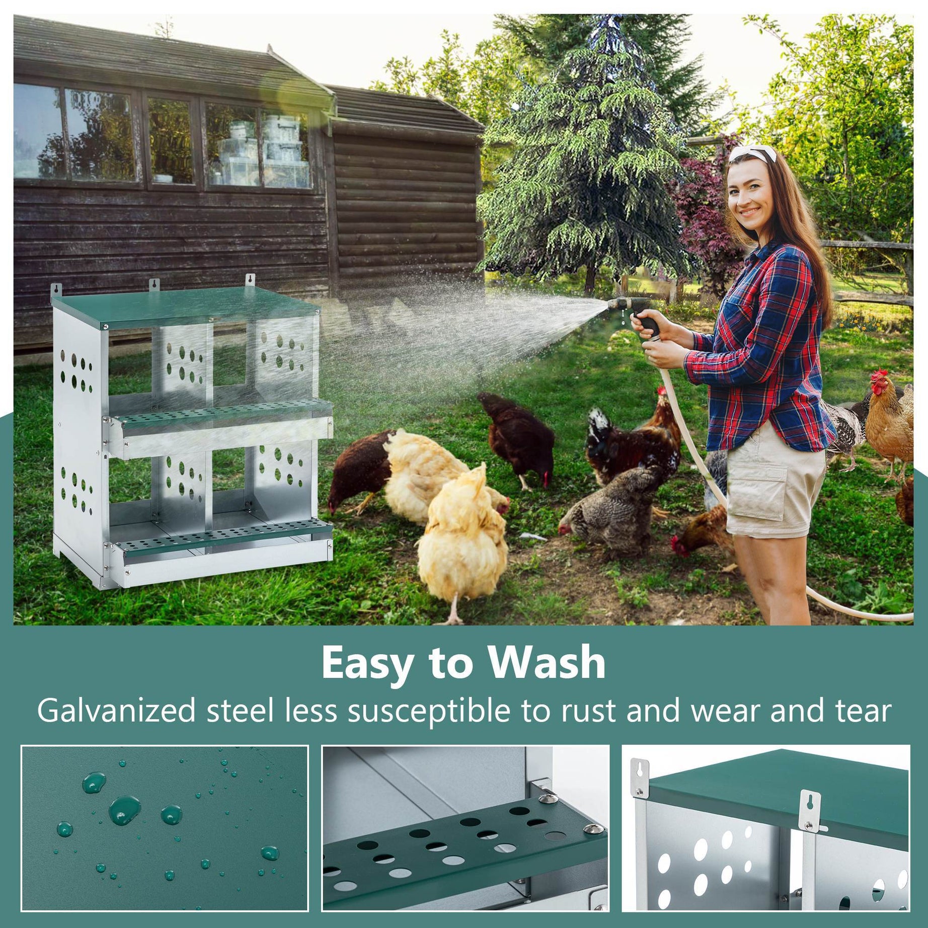 4-Compartment Metal Chicken Nesting Box - Wall Mount