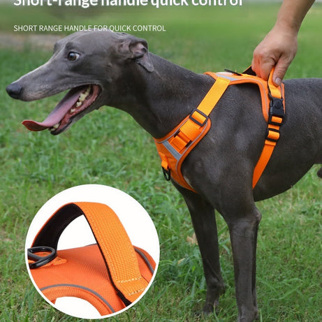 Adjustable Dog Harness - Large Chest Style with Leash