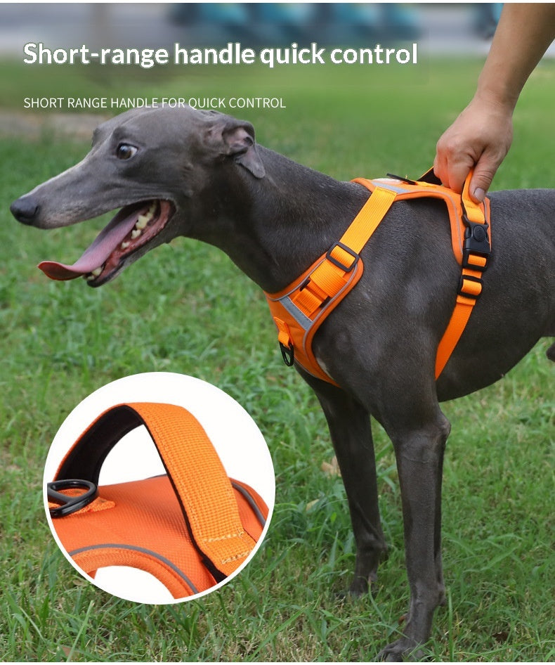 Adjustable Dog Harness - Large Chest Style with Leash