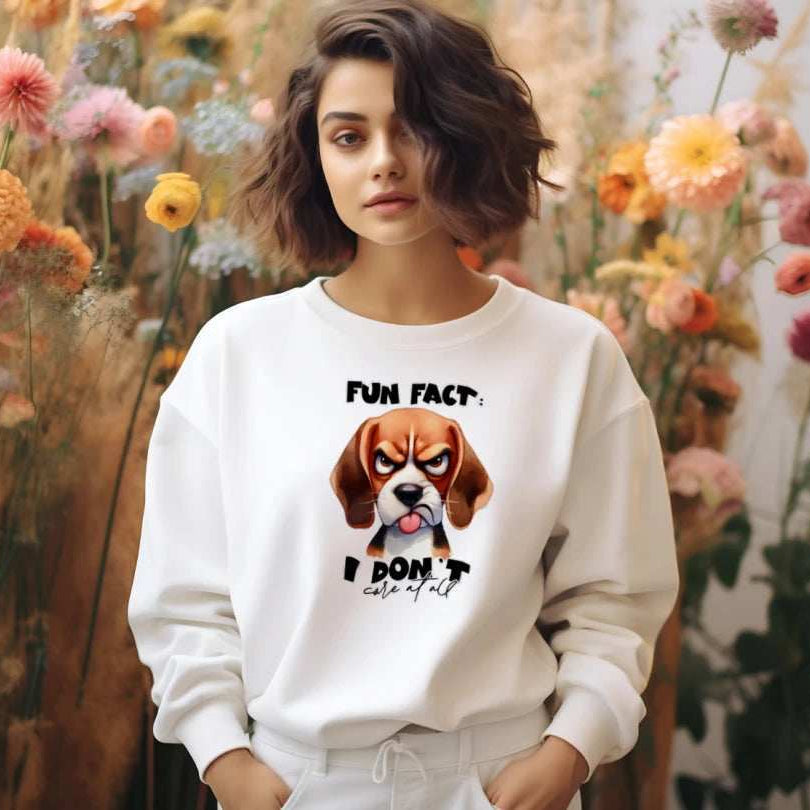 Fun Fact Don't Care Crewneck - Funny Sarcastic Sweatshirt