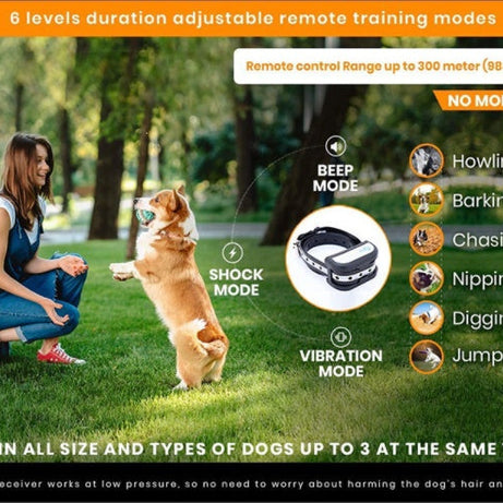 Invisible Guardian Fence - 2-in-1 Wireless Dog Trainer