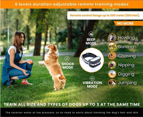 Invisible Guardian Fence - 2-in-1 Wireless Dog Trainer