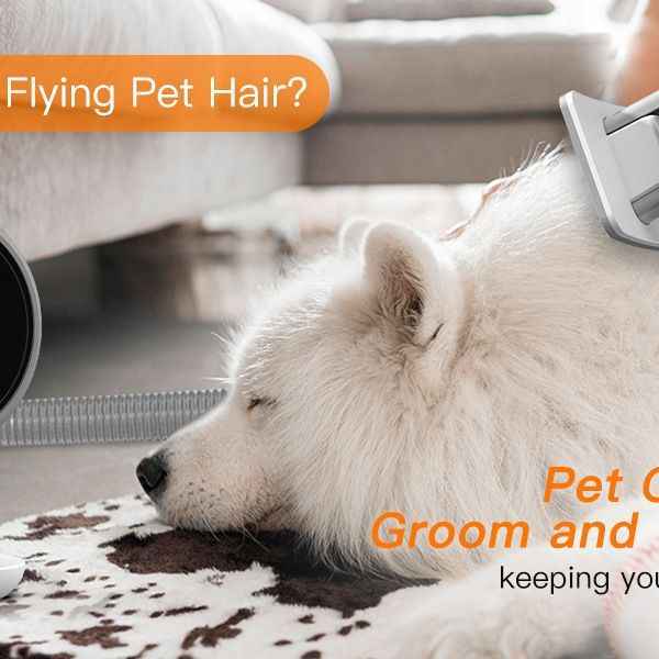 Powerful Pet Grooming Vacuum for Multi-Pet Homes - Large Capacity