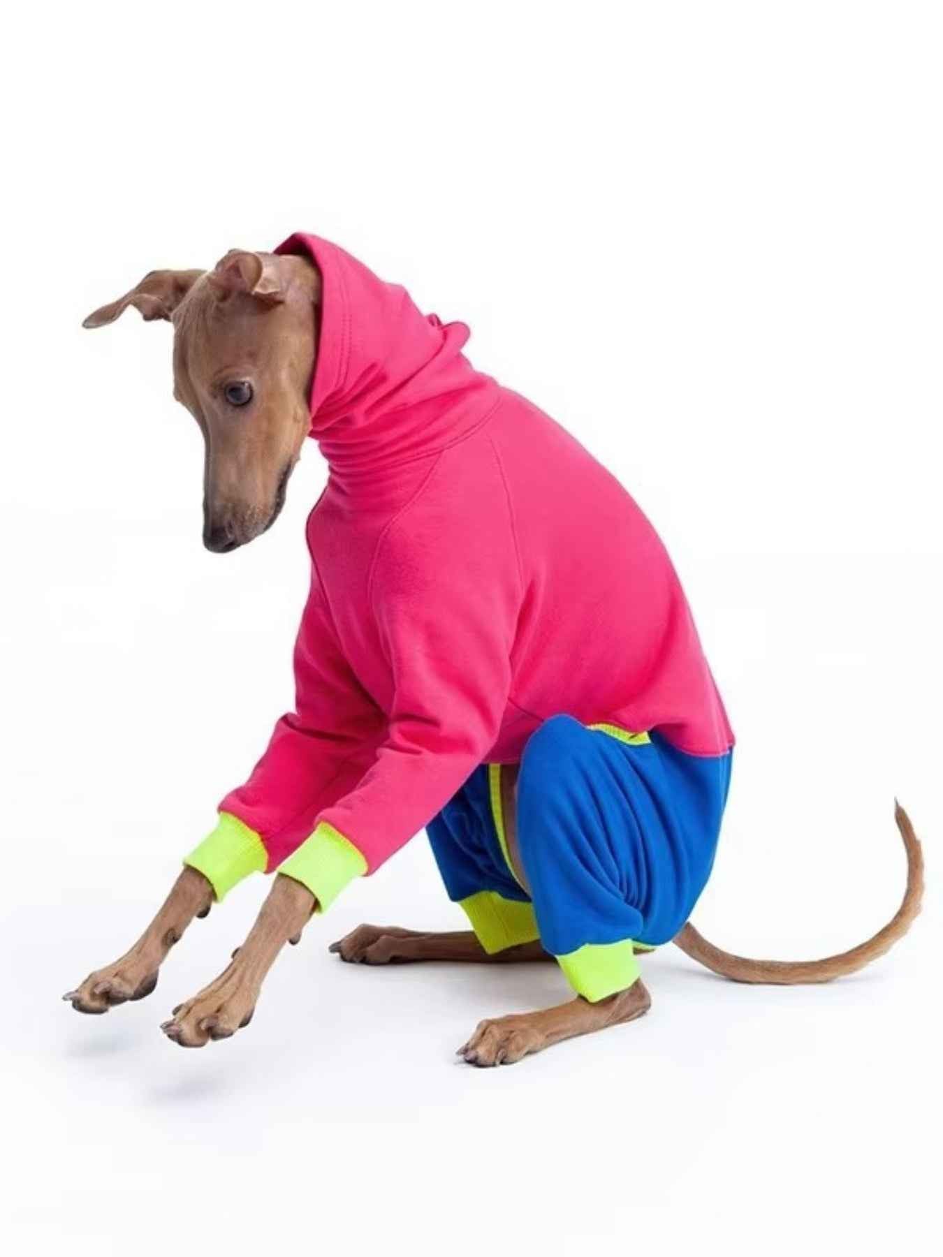 Dog Color Block Jumpsuit - Turtleneck Four-Leg Onesie Extended Sizes